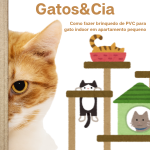 gatos&cia